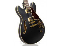 ibanez-as73gbkf_6058b04aed8f3.jpg