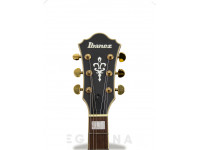 ibanez-as73gbkf_6058b04cad95e.jpg