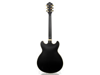 ibanez-as73gbkf_6334181504898.jpg