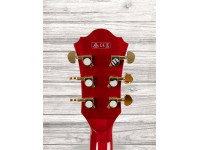 ibanez-as93fm-tcd_60a29795a8255.jpg