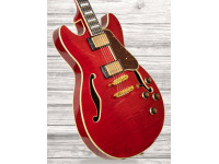 ibanez-as93fm-tcd_60a29797ae1ab.jpg