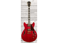 ibanez-as93fm-tcd_60a29798aec7c.jpg