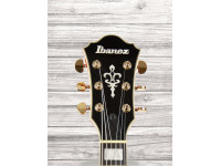 ibanez-as93fm-tcd_60a29799c0005.jpg