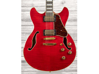 ibanez-as93fm-tcd_60a2979ab8925.jpg