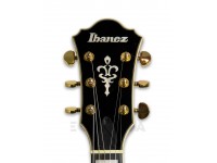 ibanez-as93fm-vls_5fbe732262c87.jpg