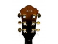 ibanez-as93fm-vls_5fbe7327183a4.jpg