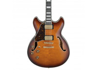 ibanez-as93fml-vls_63654305ce1d0.jpg