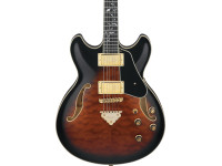 ibanez-as93qmsp-dbs_6797535410c09.jpg