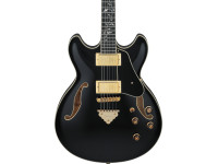 ibanez-as93sp-bk_67975534503b9.jpg