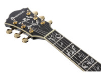 ibanez-as93sp-bk_679755452ff8f.jpg