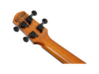 ibanez-auc10e-opn_65b2927bb6d4d.jpg