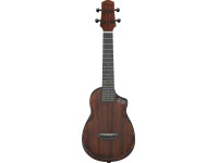 ibanez-auc14-ovl_65b2940af1bdd.jpg