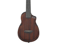 ibanez-auc14-ovl_65b294109723c.jpg