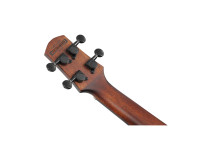 ibanez-auc14-ovl_65b2941bdf50e.jpg