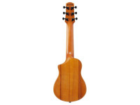 ibanez-aup10n-opn_65ba126e28534.jpg