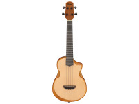 ibanez-aut10-opn_65ba12fd8fca9.jpg