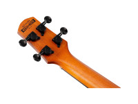 ibanez-aut10-opn_65ba130b49159.jpg