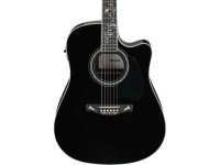ibanez-aw391rce-bkh_68c15bee496de.jpg