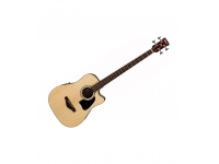 ibanez-awb50ce-lg_5dcbe0187d113.jpg