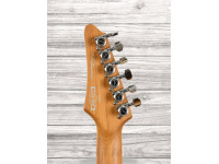ibanez-az226-bkf-premium_60d07f01b7078.jpg
