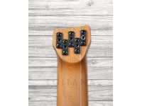 ibanez-ehb1005-bkf_5fca581c65dcd.jpg