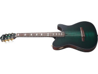 ibanez-frh20fmn-dgl_68f101ed93d24.jpg