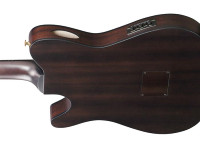 ibanez-frh20fmn-dgl_68f101f10d510.jpg