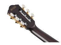 ibanez-frh20qmn-ctl_68b56d5b024d8.jpg