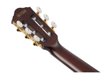 ibanez-frh20qmn-wrl_68f104945e5d5.jpg