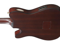 ibanez-frh20qmn-wrl_68f104962a35a.jpg