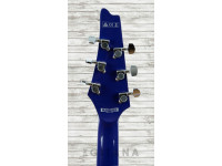 ibanez-frm300-pr-paul-gilbert_60fed398e1d72.jpg