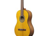 ibanez-ga3-oam_67167eae81124.jpg