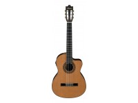 ibanez-ga6ce-am_5f9a8f460fa39.jpg
