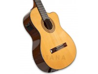 ibanez-ga6ce-am_5fbe4774aa0de.jpg