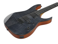 ibanez-grgr221fa-tdk_69676fef3faa3.jpg