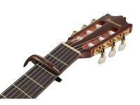 ibanez-icgc10w_69b283bae82a0.jpg