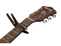 ibanez-icgc10w_69b283bcac85e.jpg