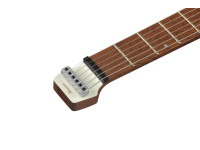 ibanez-ichi10-vwm_66f125095e7ab.jpg
