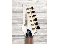 ibanez-jbm10fx-pwm_5fb5506539fad.jpg