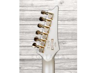 ibanez-jbm10fx-pwm_5fb550673a7b5.jpg