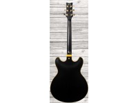 ibanez-jsm-20-black-low-gloss_5f5f8bab3fba2.jpg