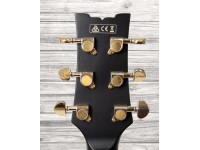 ibanez-jsm-20-black-low-gloss_5f69b37862a02.jpg