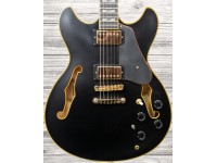 ibanez-jsm-20-black-low-gloss_5f69b37a4eda2.jpg