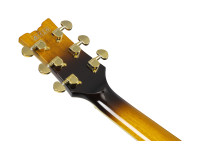 ibanez-jsm10em-ttb-john-scofield_67976e43d43eb.jpg