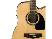 ibanez-pf1512ece-nt_5e4bc88f81a98.jpg