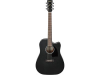 ibanez-pf16mwce-wk_65312cd89b894.jpg