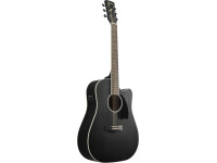 ibanez-pf16mwce-wk_65312ce496c4f.jpg