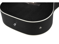ibanez-pf16mwce-wk_65312d0af20ae.jpg