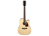 ibanez-pf16wce-nt_6544da4bcabd9.jpg