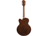 ibanez-pm3c-nal-pat-metheny_68650f7210e64.jpg